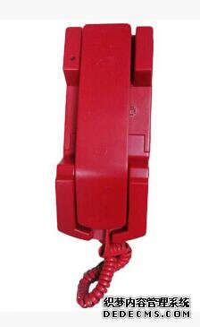 TS-GSTN601消防電話分機(jī)